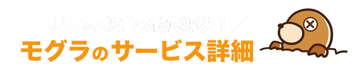 埼玉県 シロアリ駆除、害獣駆除、害虫駆除